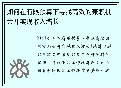 如何在有限预算下寻找高效的兼职机会并实现收入增长